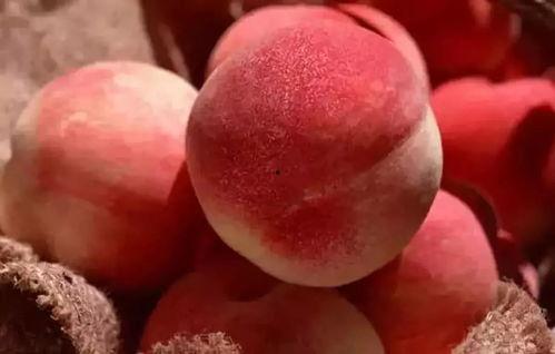 安安桃子吃瓜爆料,娱乐圈幕后真相大揭秘